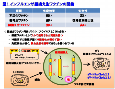 図1.インフルエンザ組換え生ワクチンの開発