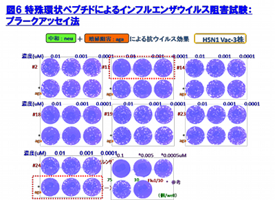 図6.特殊環状ペプチドによるインフルエンザ阻害試験