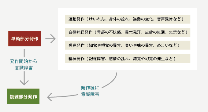 図1. 部分発作