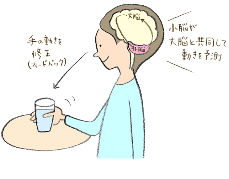 脳は、今手のある位置を時々刻々予測しながら運動指令を出す。