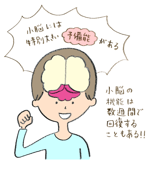 小脳には脳全体の神経細胞の半分以上が詰まっていて、脳の神経回路の中でも最大の予備能を持っていると考えられる。