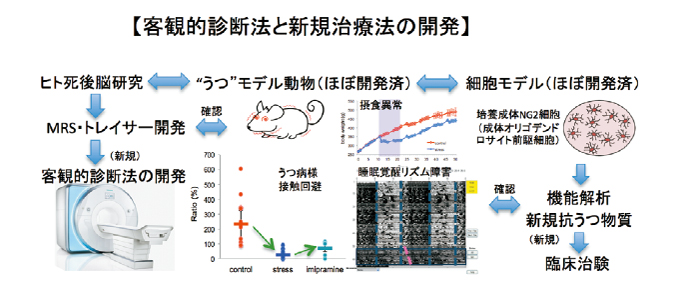 図：第３期うつ病プロジェクトの研究概要