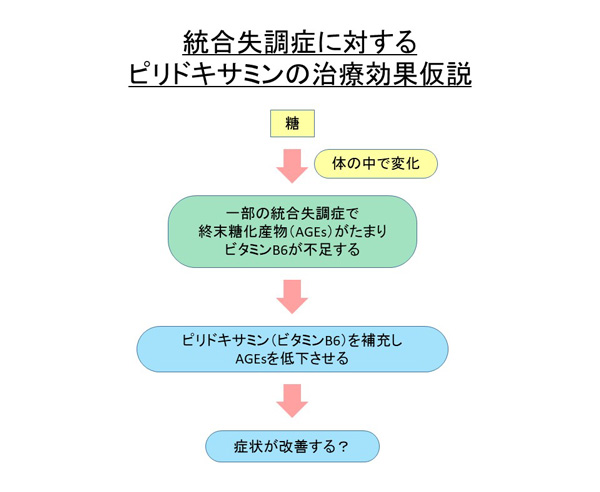 統合失調症に対するピリドキサミンの治療効果仮説