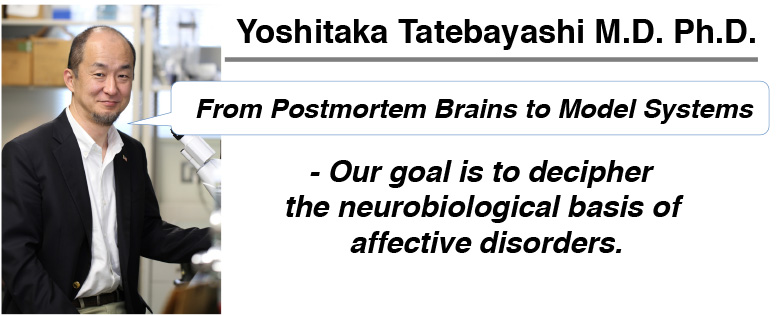 Yoshitaka Tatebayashi M.D. Ph.D.