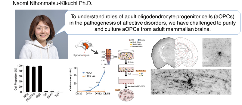 Naomi Nihonmatsu-Kikuchi Ph.D.