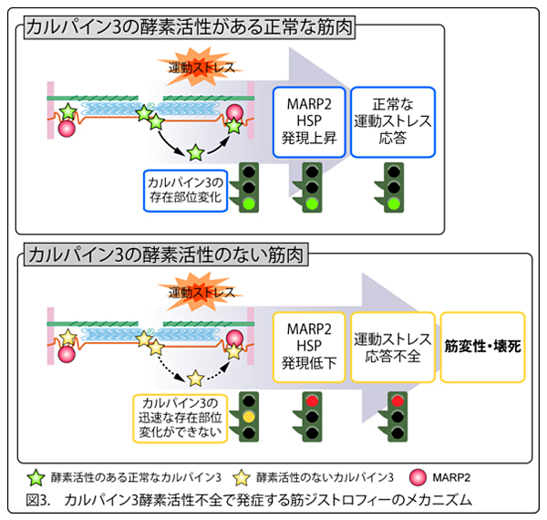 図3