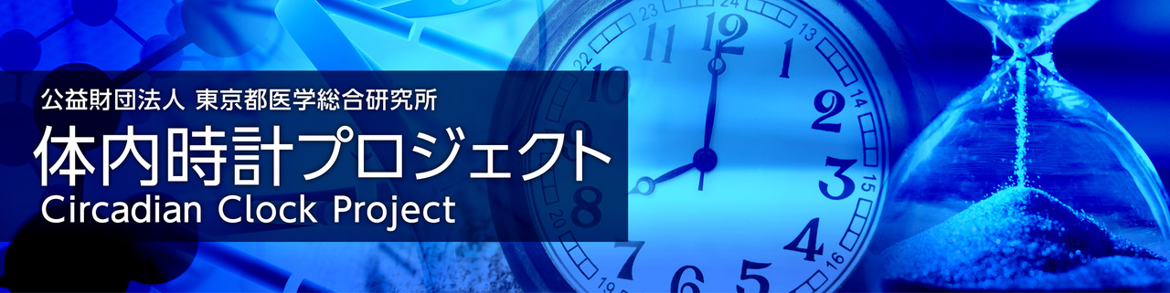 プロジェクトバナー