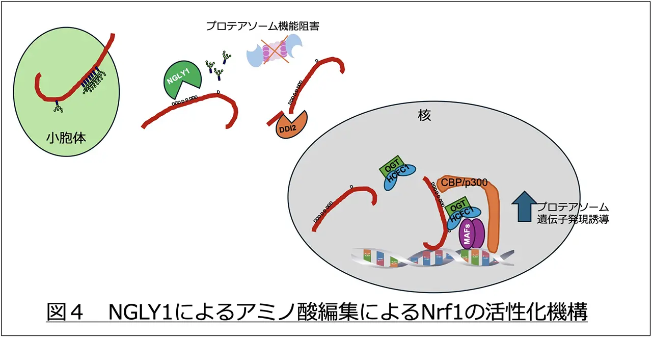 図4