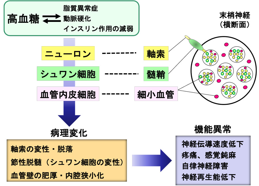 図2