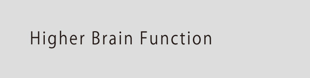 Higher Brain Function 高次脳機能プロジェクト