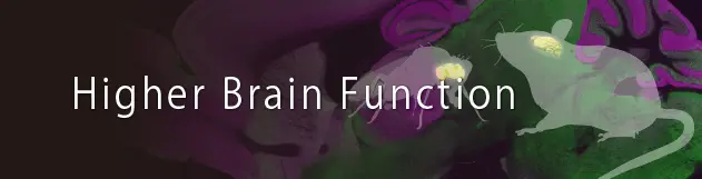 Higher Brain Function 高次脳機能プロジェクト