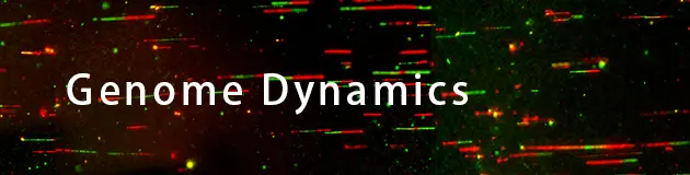 genome