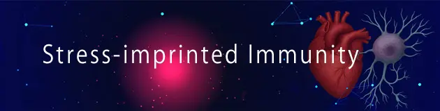 心不全PJ Stress-imprinted_Immunology