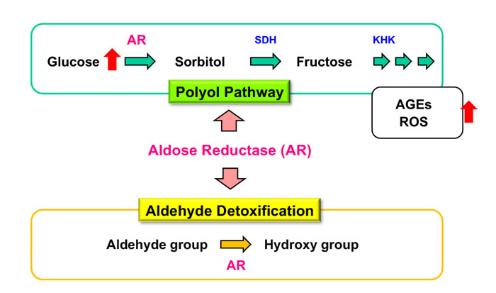 fig1