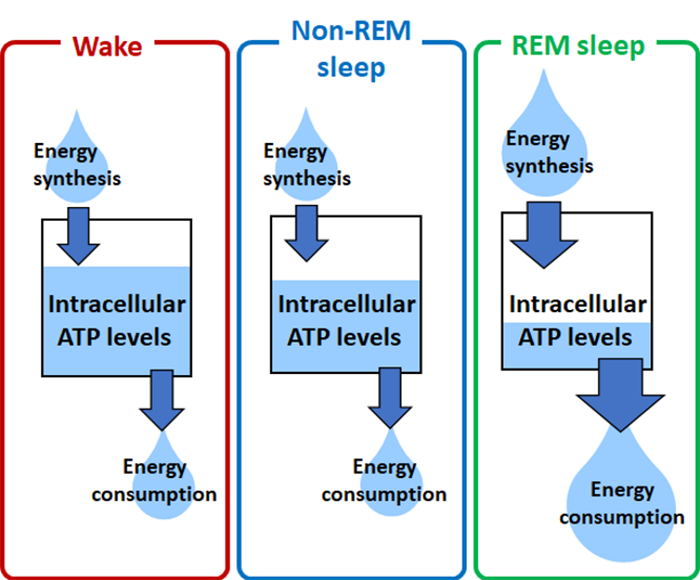 Figure2