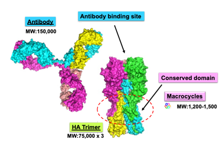 Fig. 1: Overviews of the results