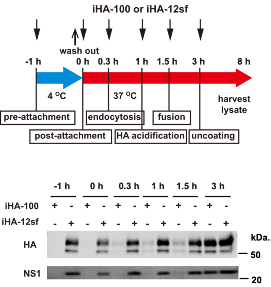 Fig. 1: Overviews of the results