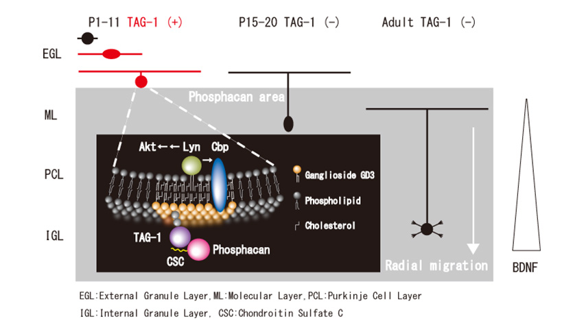 Figure1