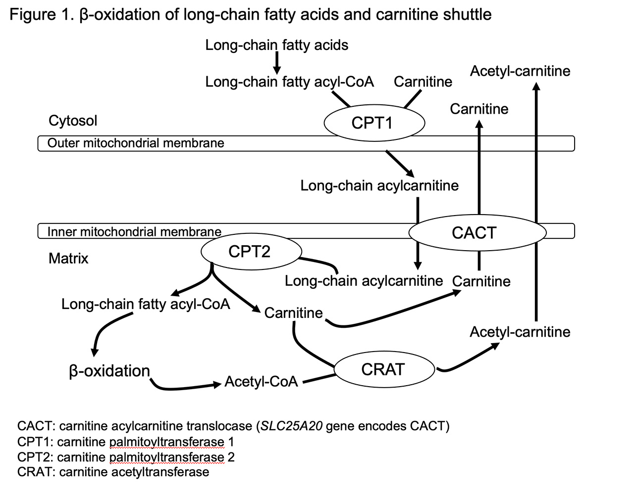 Figure1