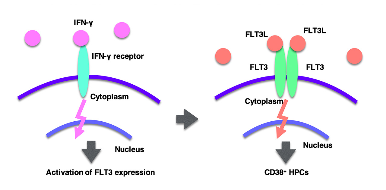 Figure3