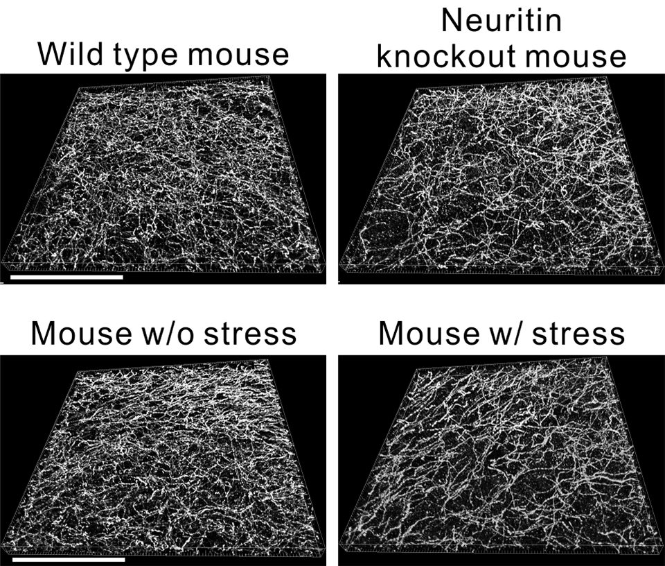 Figure1