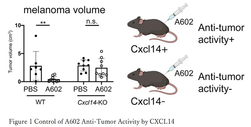 Figure1