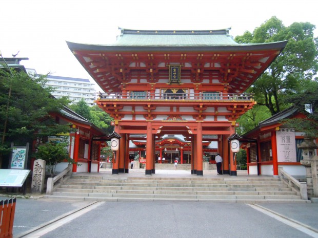 DSCN8550