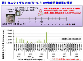 図3.カニクイザルでのrVV-HA Fluの発症防御効果の検討