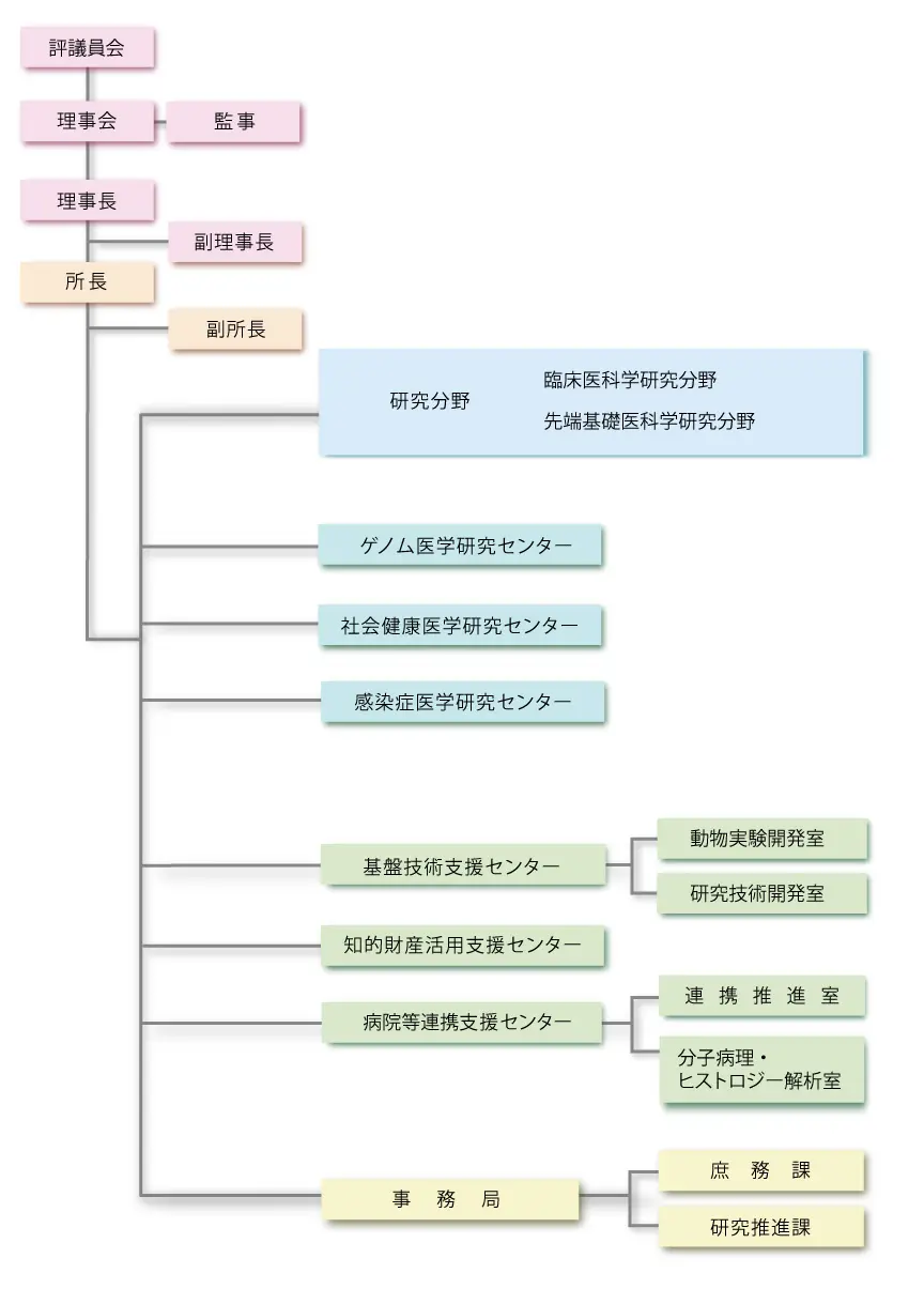 組織図