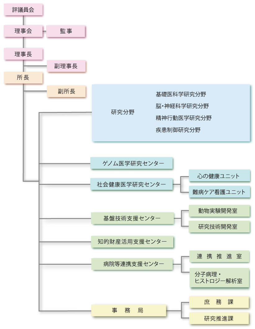 組織図