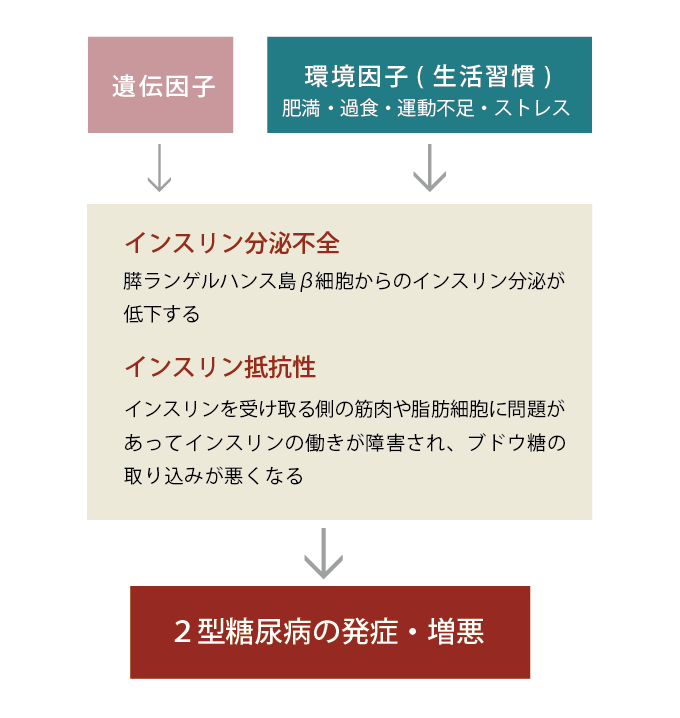 図1. 2型糖尿病の成因