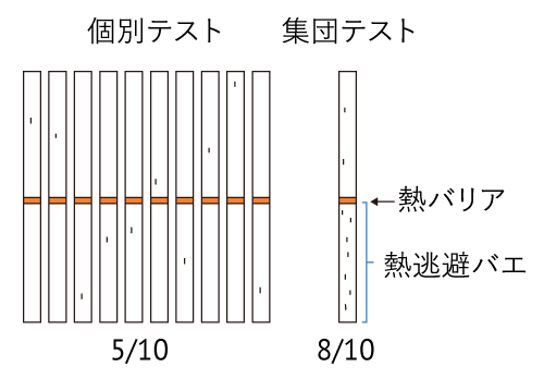 図４集団での熱逃避行動の伝染