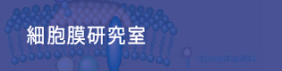 細胞膜研究室