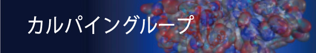 カルパイングループ