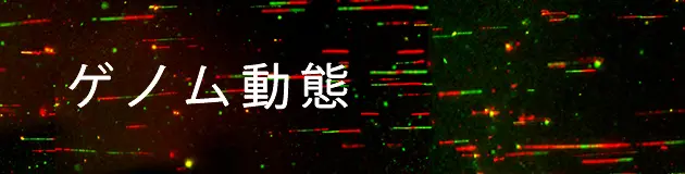 ゲノム動態プロジェクト