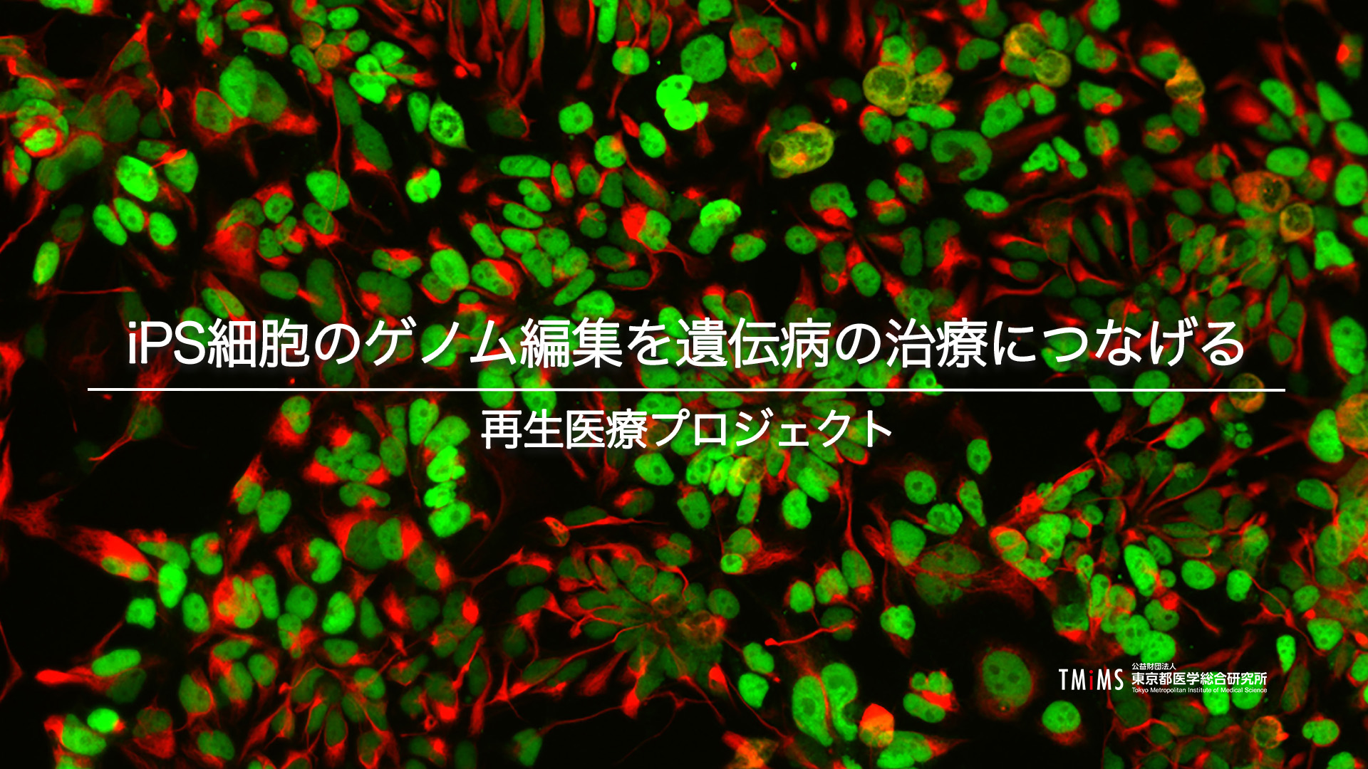 再生医療PJの紹介