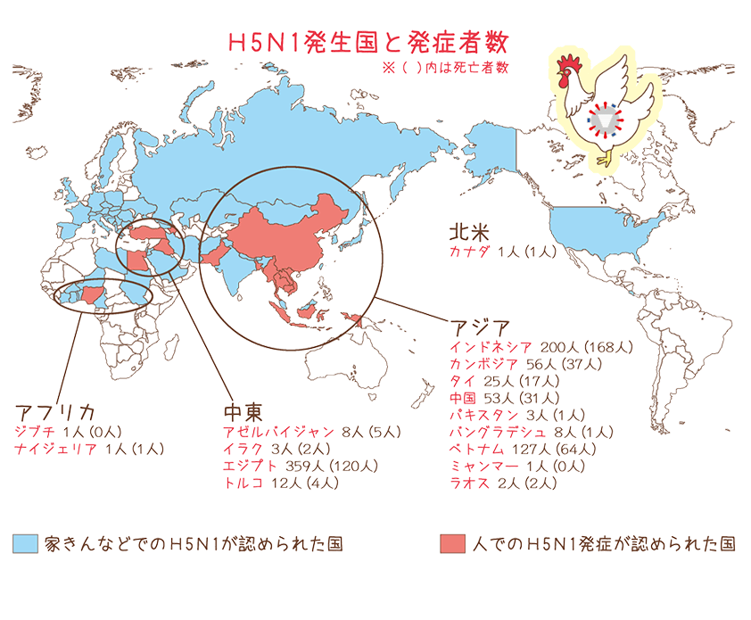 H5N1発生国と発症者数