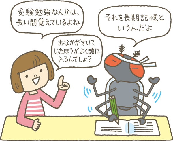 「長期記憶」の形成は空腹状態のほうが促進される