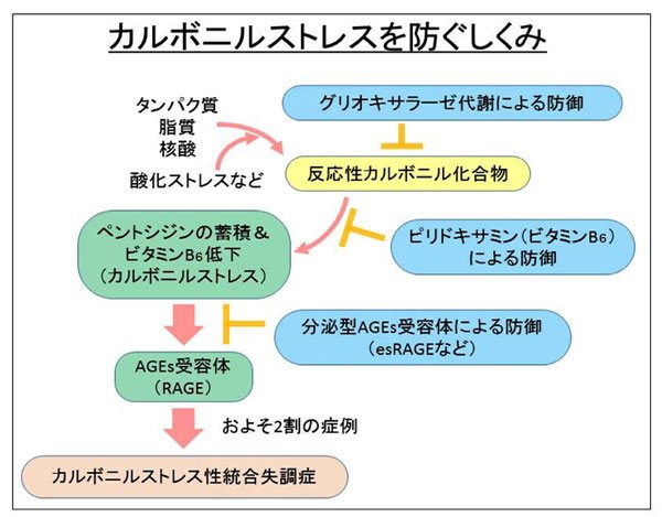 未来を話そう！研究紹介｜統合失調症プロジェクト｜新井誠