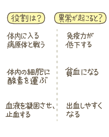 造血幹細胞の役割は？