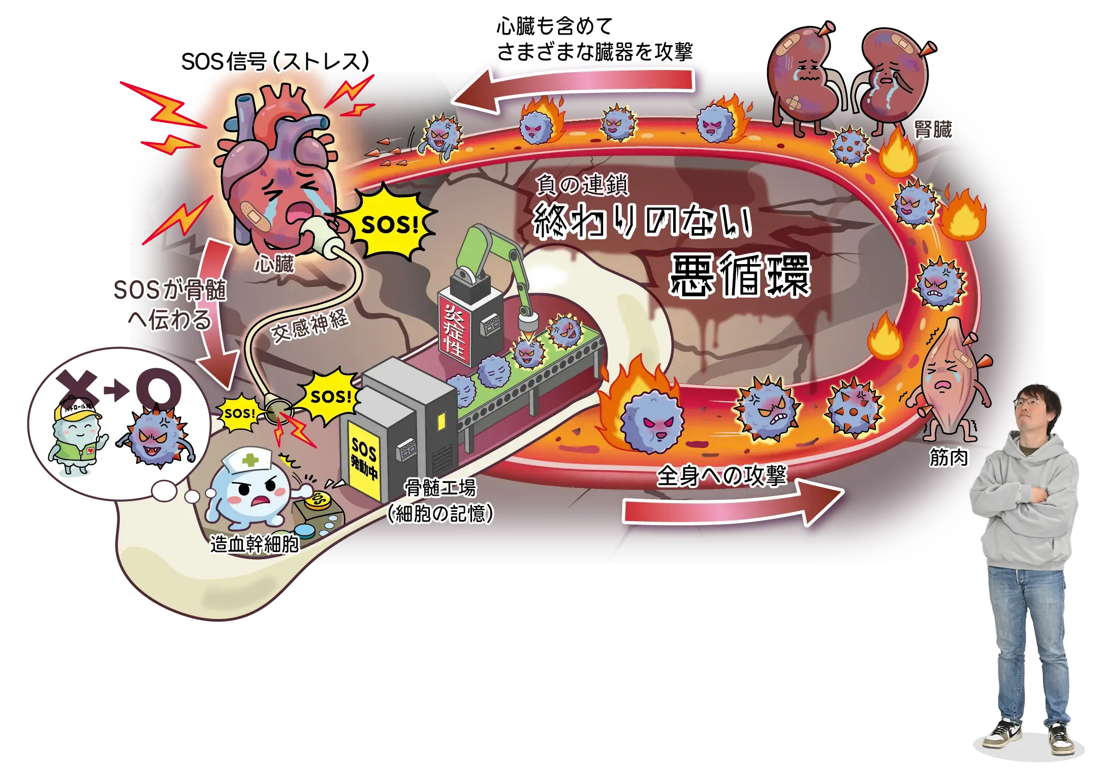 イメージ図:ストレスの記憶