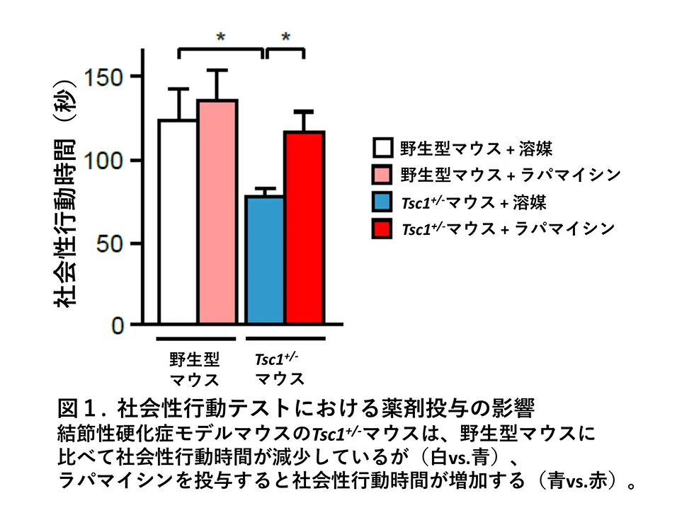 第4回都医学研都民講座開催報告