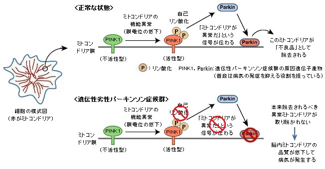 図