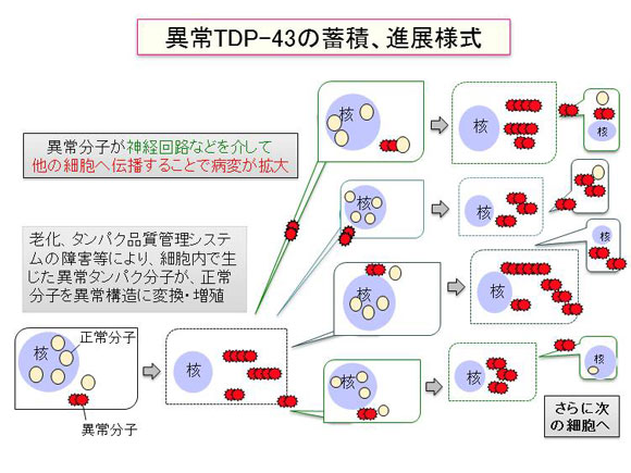 図2