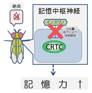 図