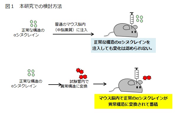 図1