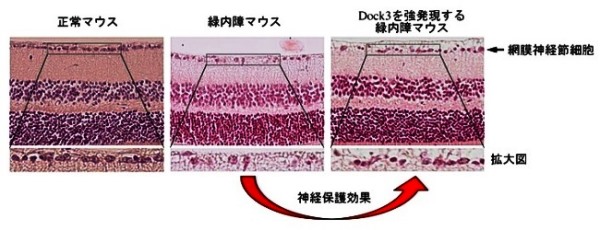 図1