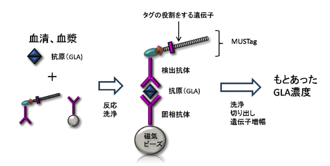 図