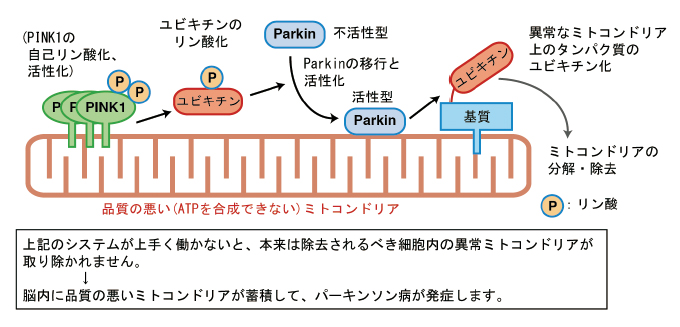 図