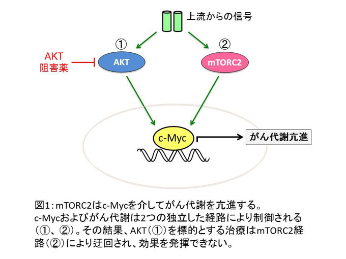 図１